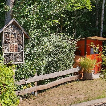 Ferienhaus Am Wald Ronshausen Exterior photo